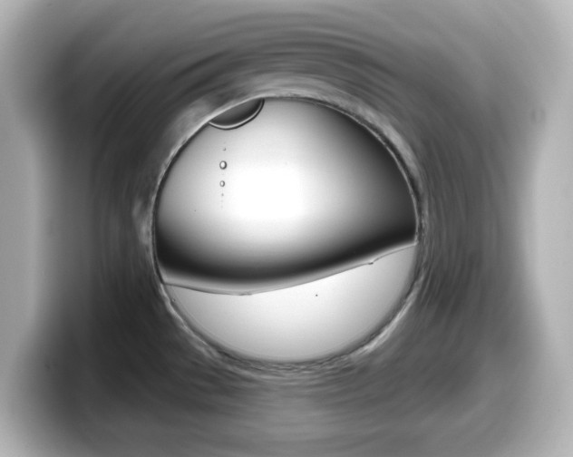 X0000099381529200805081149