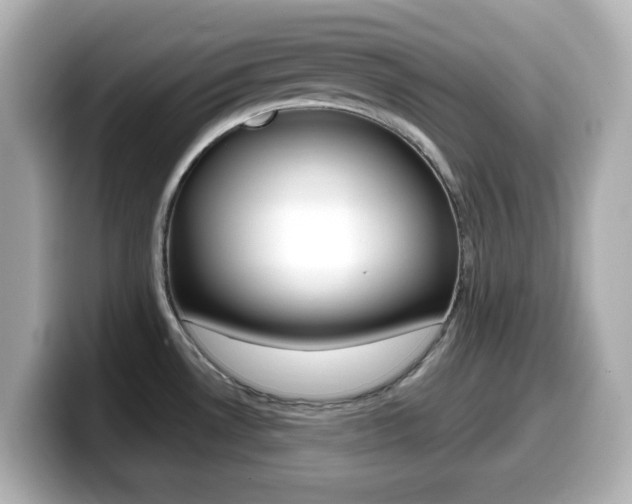X0000099381530200805081149
