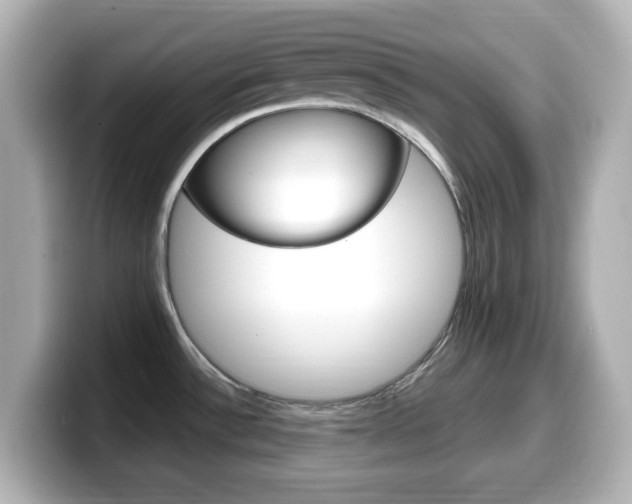X0000099381532200805081149
