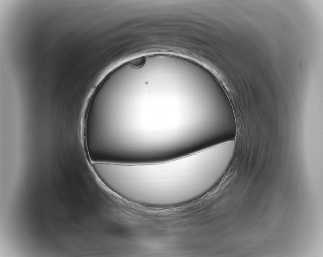 X0000099381535200805081149
