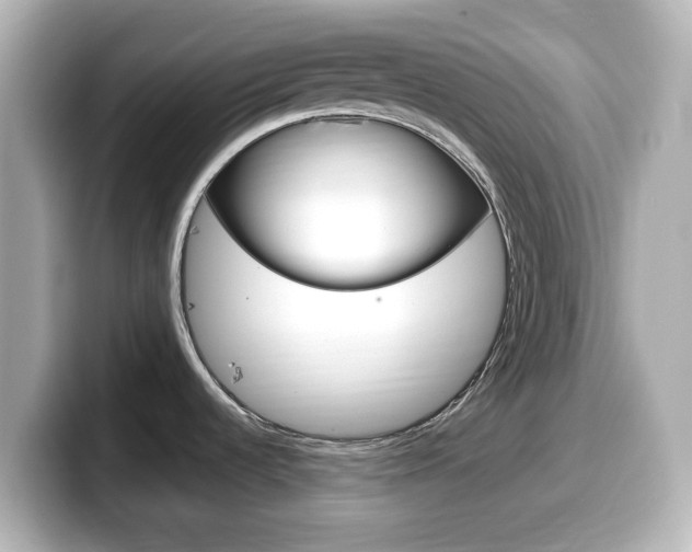 X0000099381536200805081149