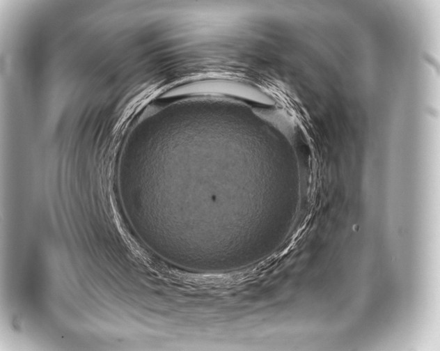 X0000099380001200805081456