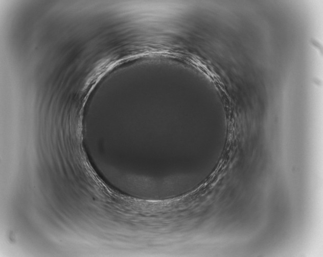 X0000099380002200805081456