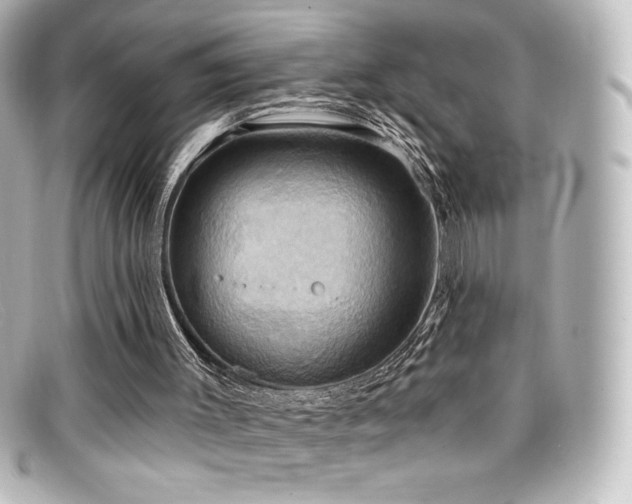 X0000099380003200805081456