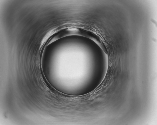 X0000099380004200805081456