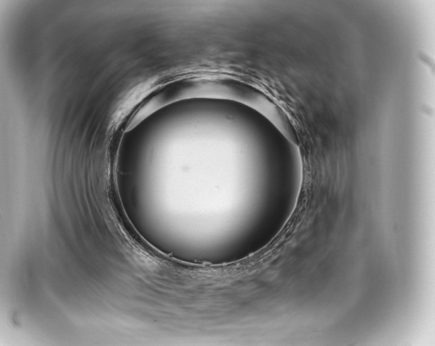 X0000099380005200805081456