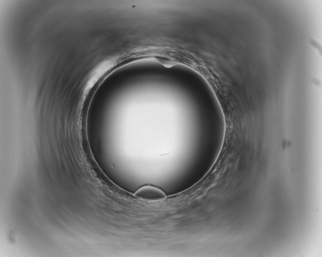 X0000099380006200805081456