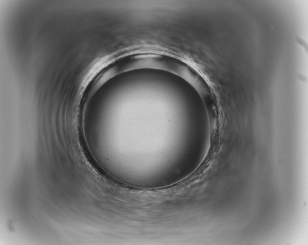 X0000099380007200805081456