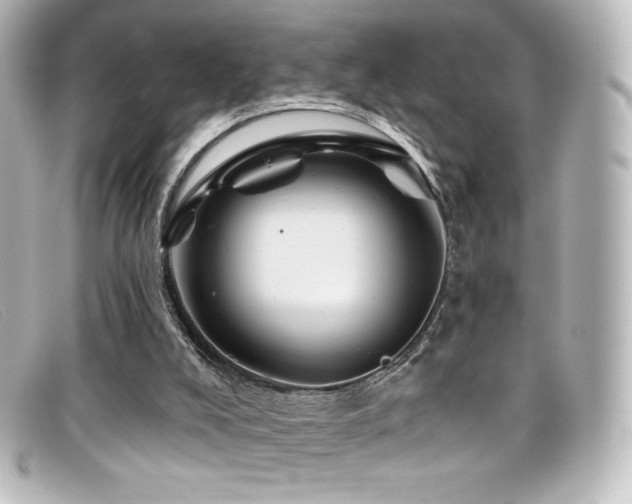 X0000099380008200805081456