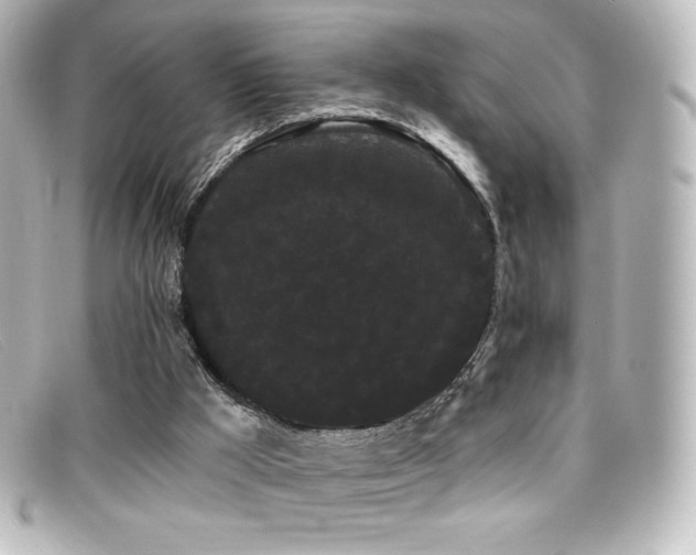 X0000099380009200805081456