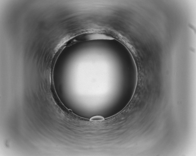 X0000099380011200805081456