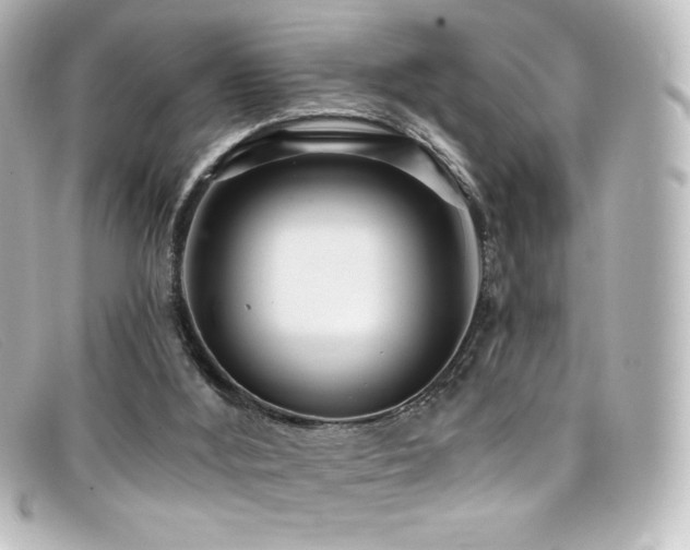 X0000099380012200805081456