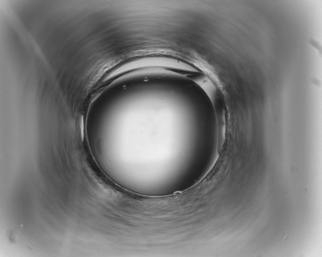 X0000099380013200805081456