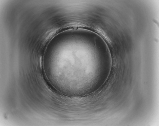 X0000099380014200805081456