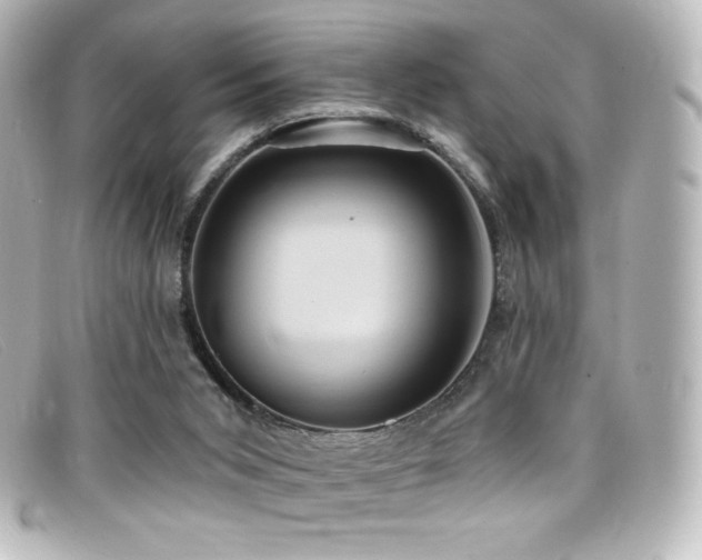 X0000099380015200805081456