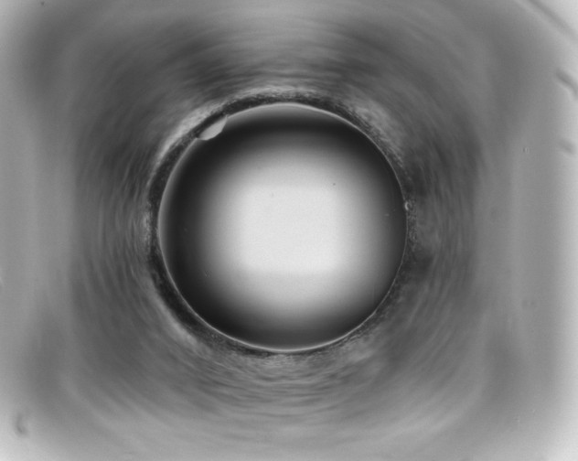 X0000099380016200805081456