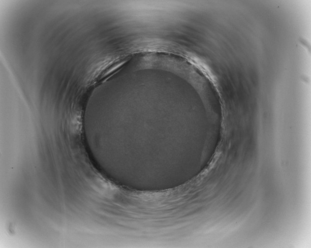 X0000099380017200805081456