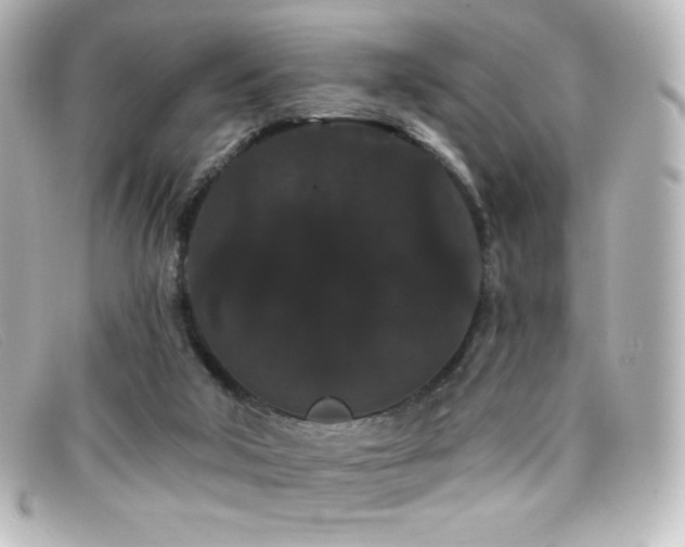 X0000099380018200805081456