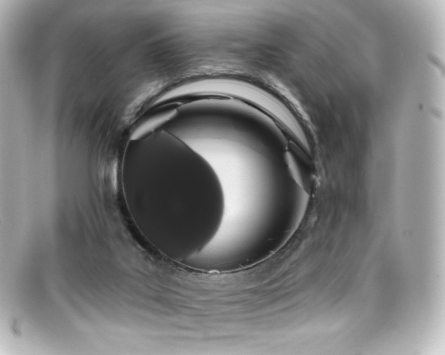 X0000099380019200805081456