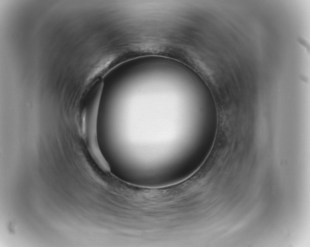 X0000099380020200805081456