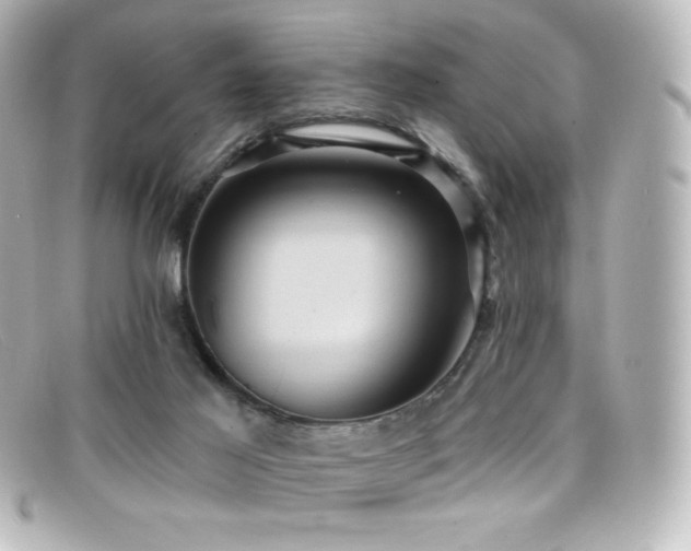 X0000099380021200805081456