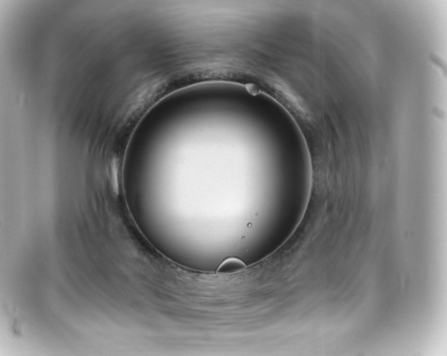 X0000099380022200805081456