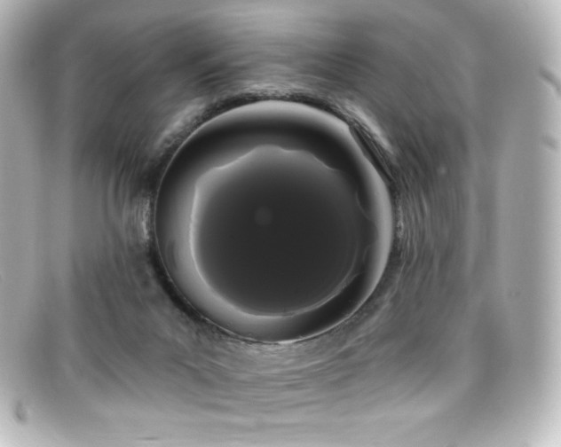 X0000099380023200805081456