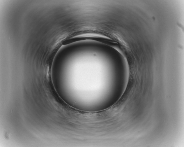 X0000099380024200805081456