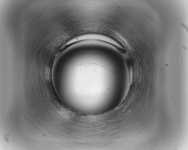 X0000099380025200805081456