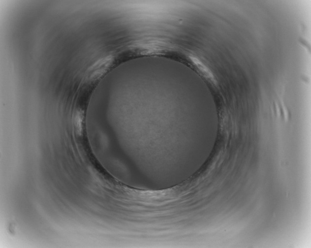 X0000099380026200805081456