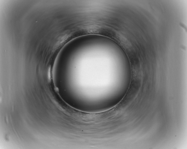 X0000099380028200805081456