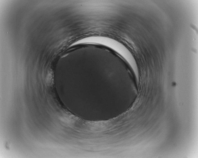 X0000099380029200805081456