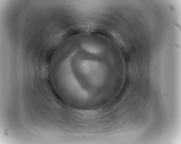 X0000099380030200805081456