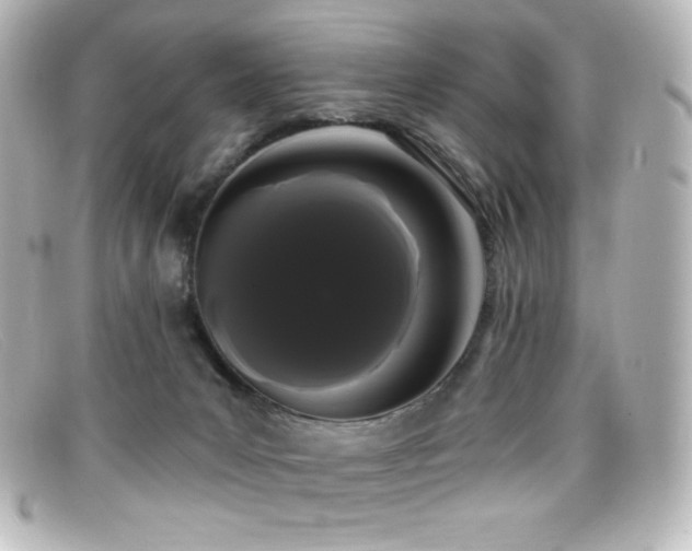 X0000099380031200805081455