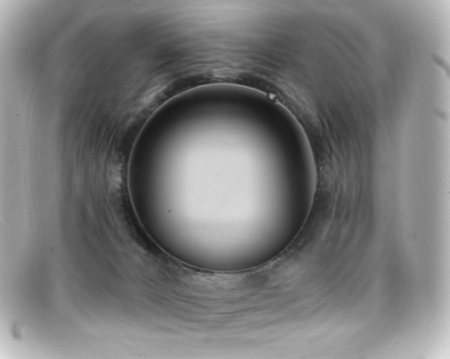 X0000099380032200805081455