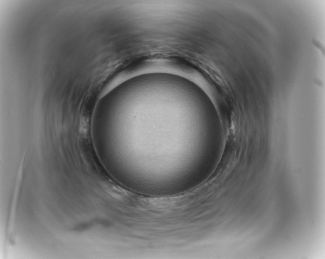 X0000099380033200805081455