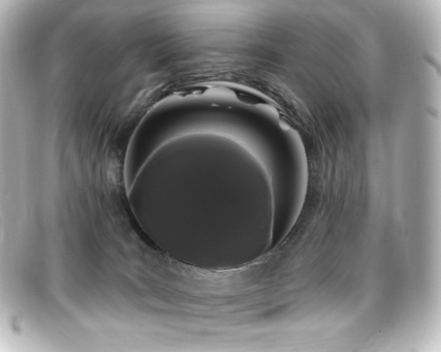 X0000099380035200805081455