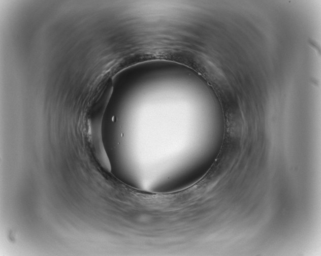 X0000099380036200805081455