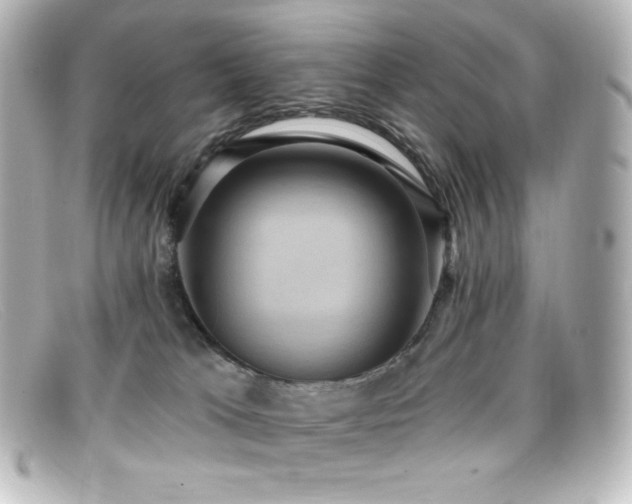 X0000099380037200805081455