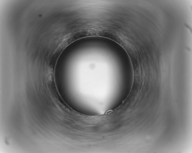 X0000099380038200805081455