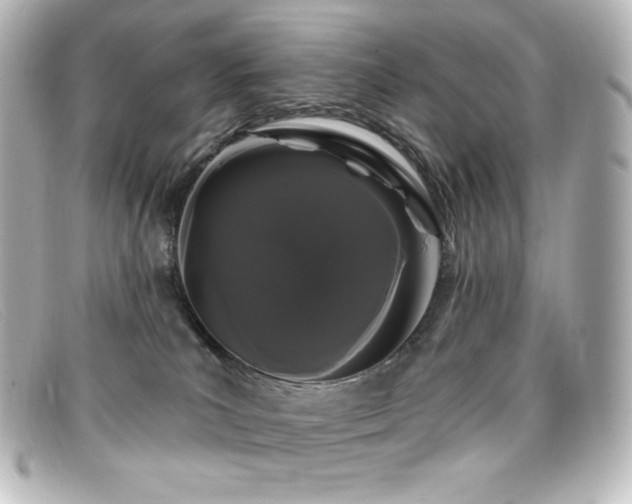 X0000099380039200805081455