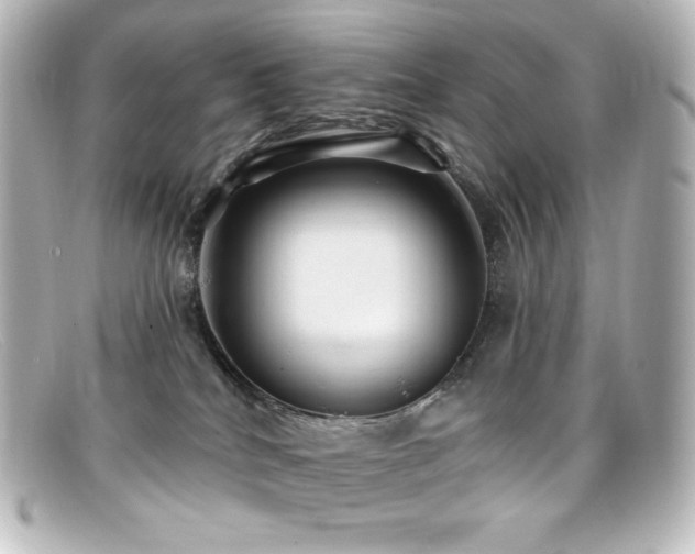 X0000099380040200805081455