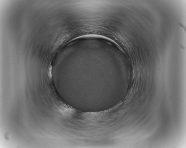 X0000099380041200805081455