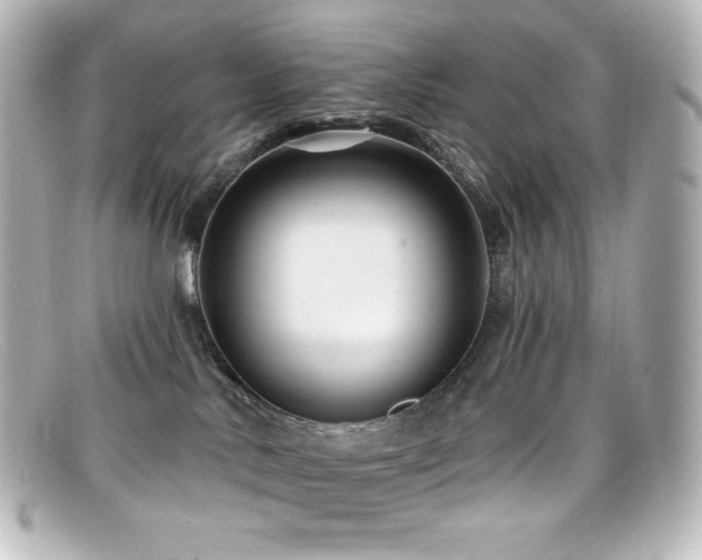 X0000099380042200805081455