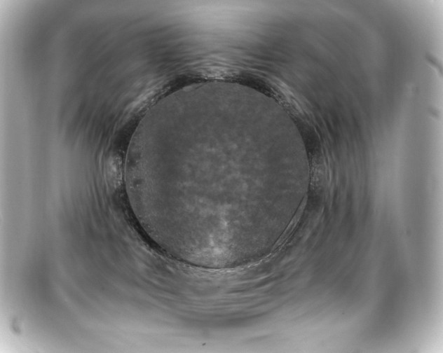 X0000099380043200805081455