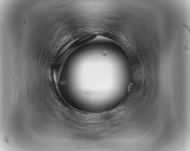 X0000099380044200805081455