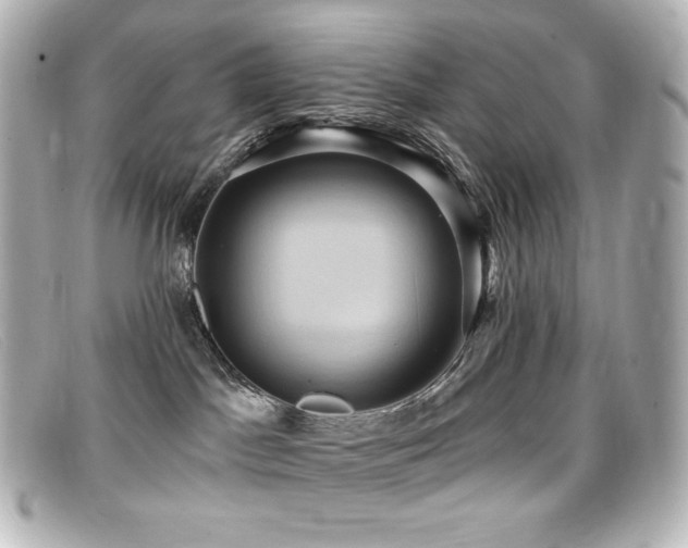 X0000099380045200805081455