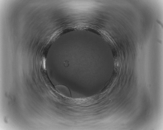 X0000099380046200805081455