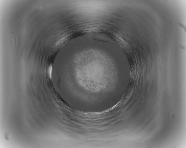 X0000099380047200805081455