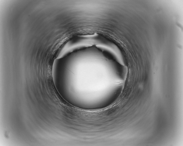 X0000099380048200805081455